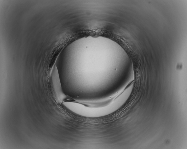 X0000098130613200805011323