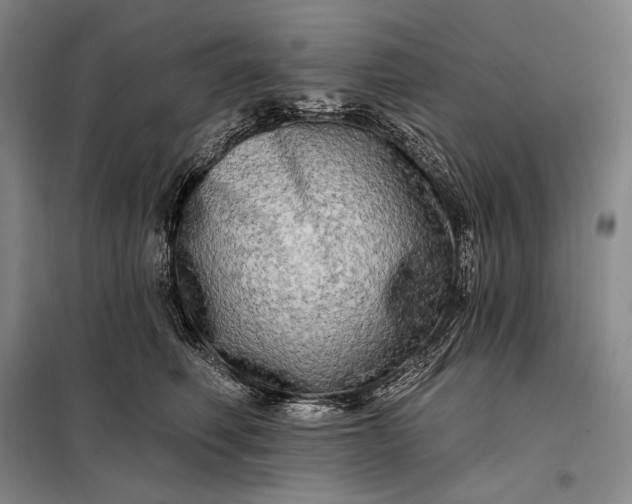 X0000098130614200805011323