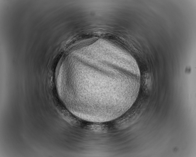 X0000098130615200805011322