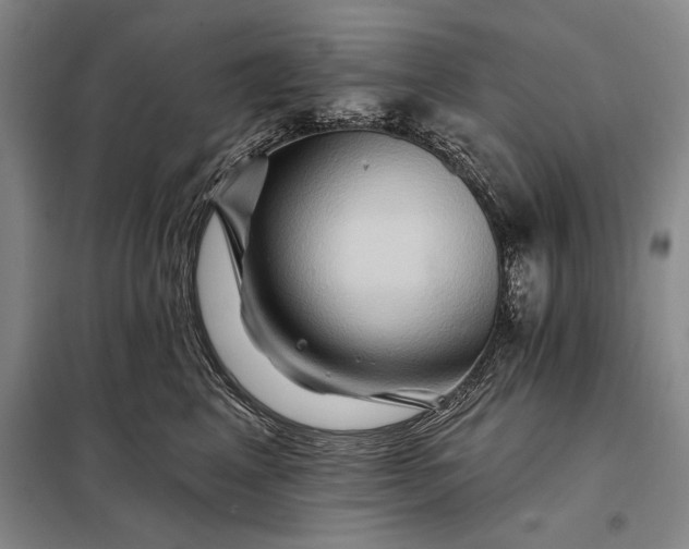 X0000098130617200805011322