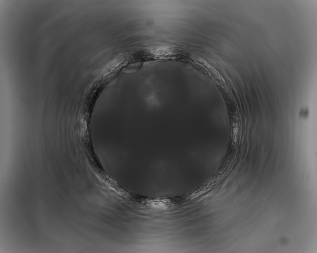 X0000098130618200805011322