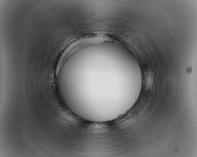 X0000098130619200805011322
