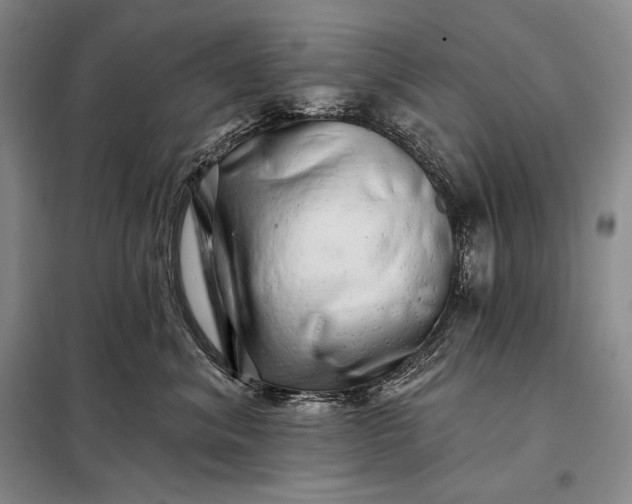 X0000098130620200805011322