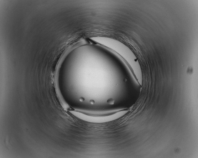 X0000098130621200805011322