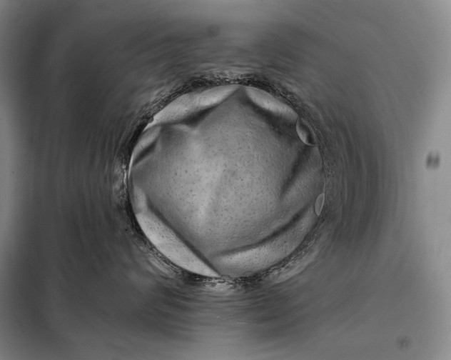 X0000098130624200805011322