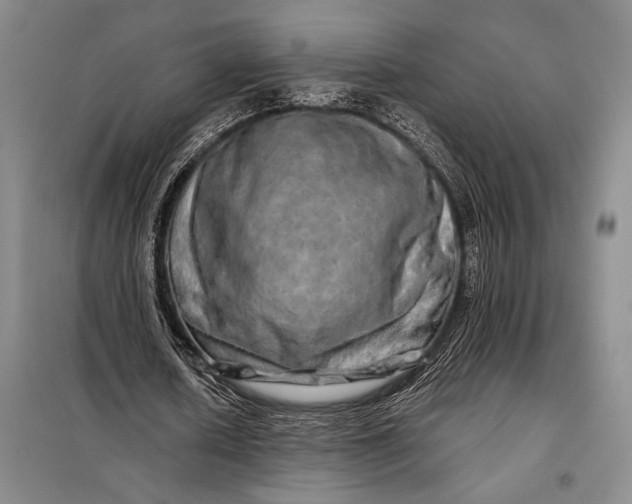 X0000098130626200805011322
