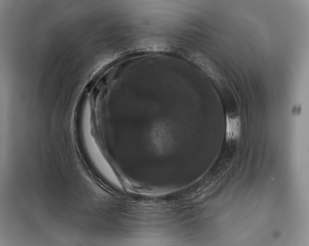 X0000098130627200805011322