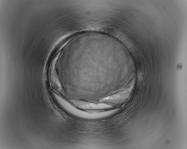 X0000098130628200805011322