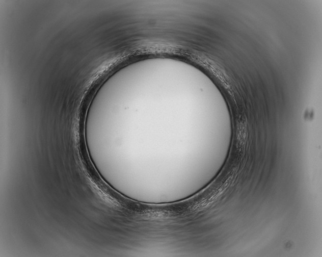 X0000098130629200805011322