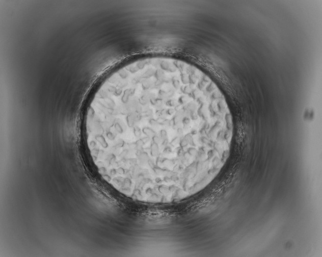 X0000098130632200805011322