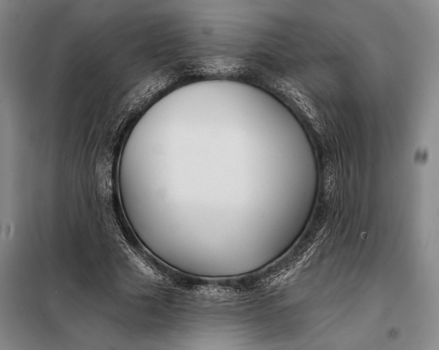 X0000098130633200805011322