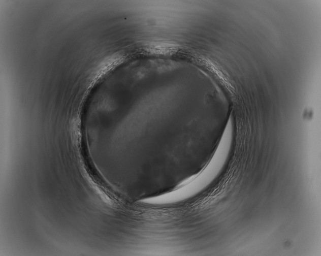 X0000098130634200805011322