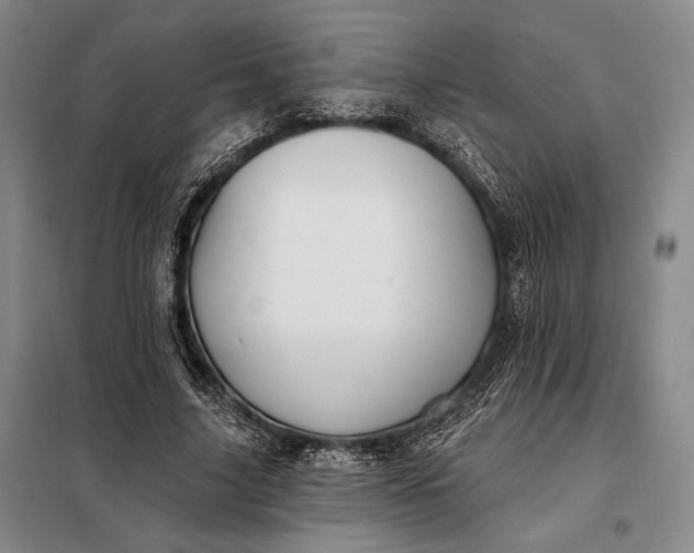 X0000098130635200805011322