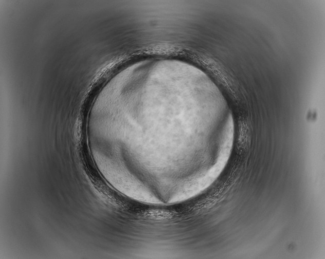 X0000098130636200805011322