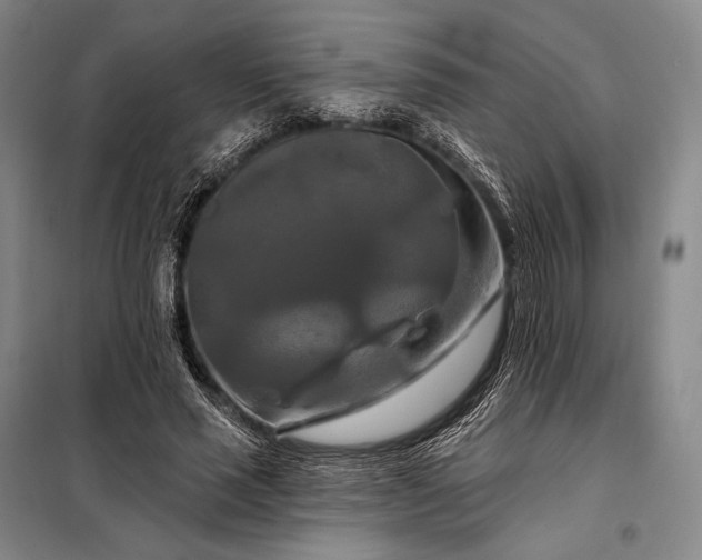 X0000098130637200805011322