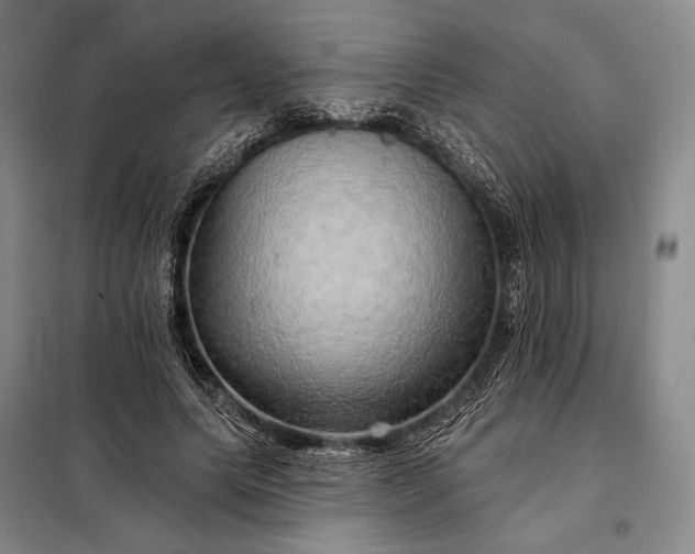 X0000098130639200805011322