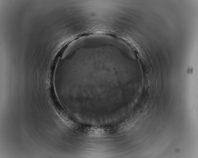 X0000098130640200805011322