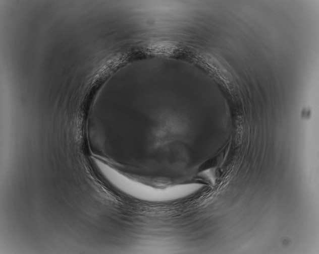X0000098130641200805011322