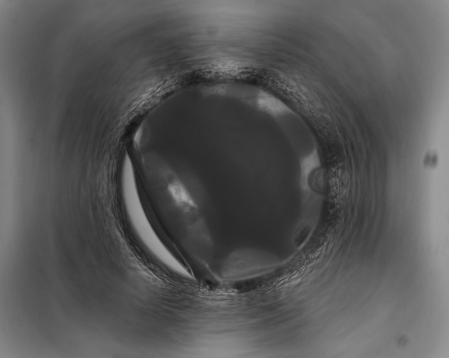 X0000098130642200805011322