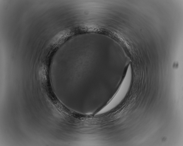 X0000098130643200805011322