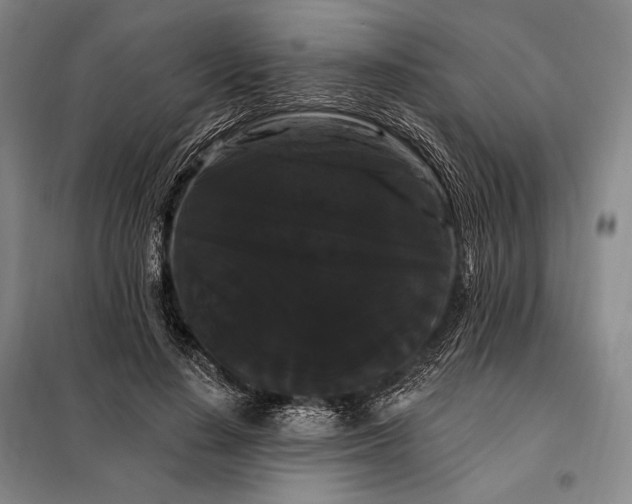 X0000098130644200805011322