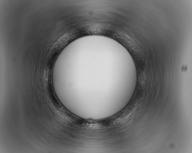 X0000098130645200805011322