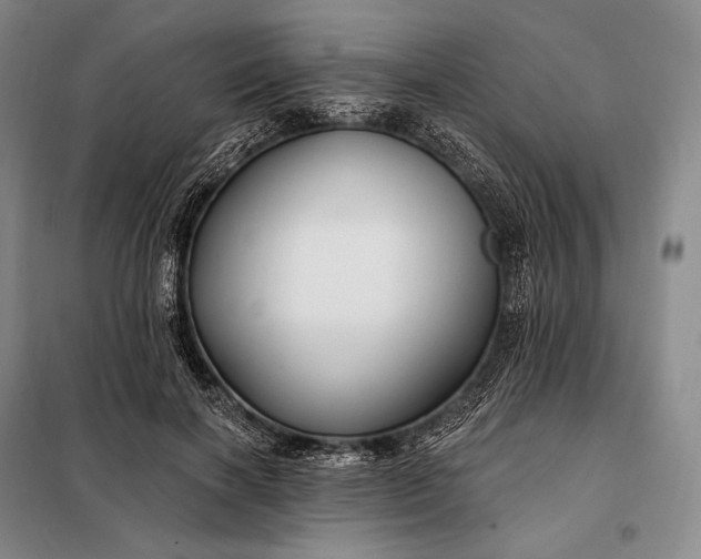 X0000098130646200805011322