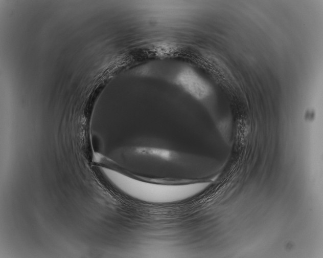 X0000098130650200805011322