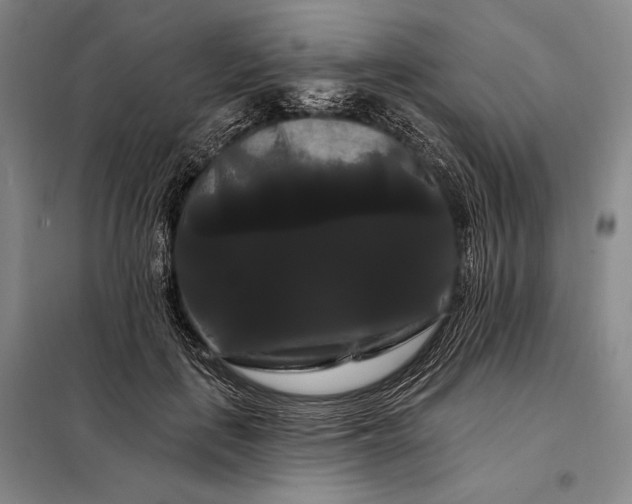 X0000098130651200805011322