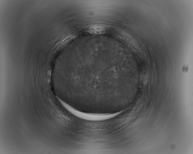 X0000098130652200805011322