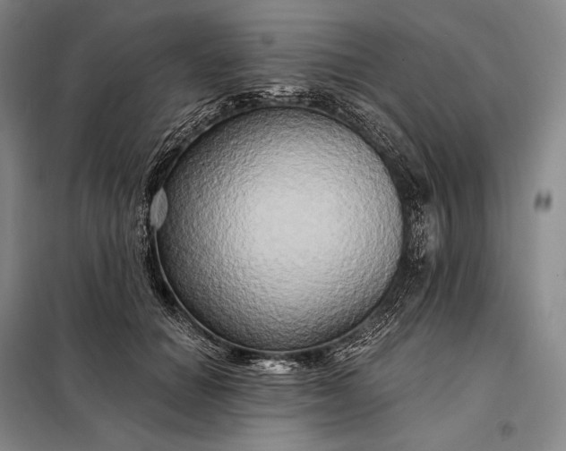 X0000098130654200805011322