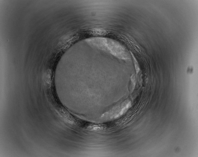 X0000098130655200805011322