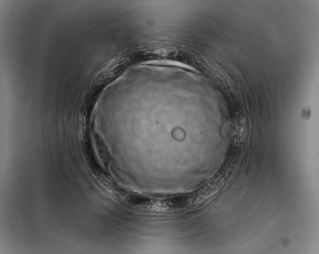 X0000098130656200805011322