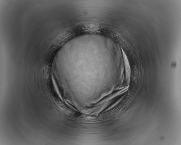 X0000098130658200805011322