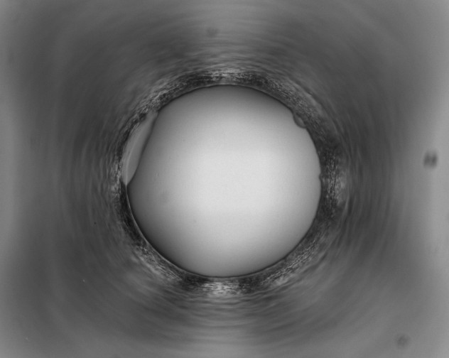 X0000098130660200805011322