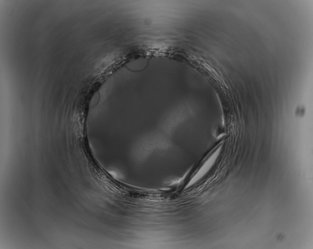 X0000098130661200805011322
