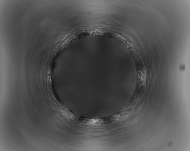 X0000098130663200805011322