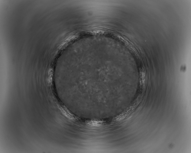 X0000098130664200805011322