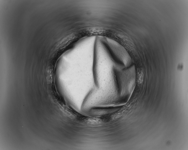 X0000098130666200805011322