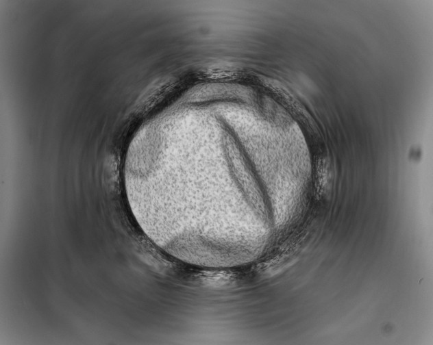 X0000098130667200805011322