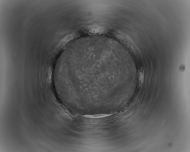 X0000098130668200805011322