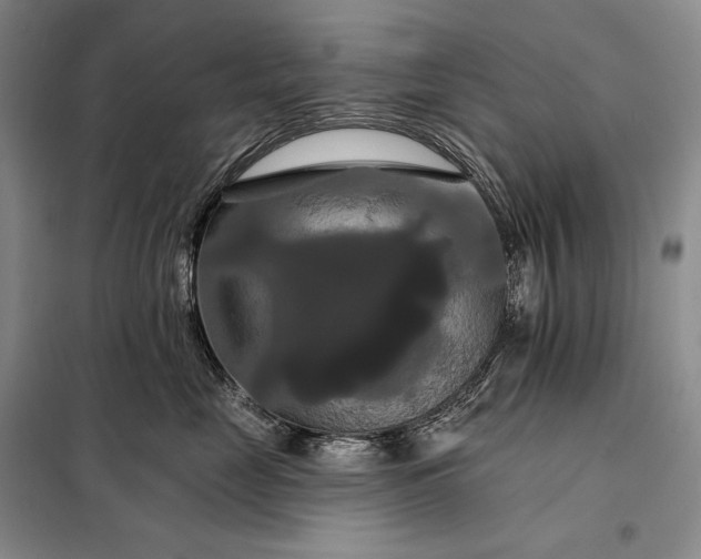 X0000098130669200805011322