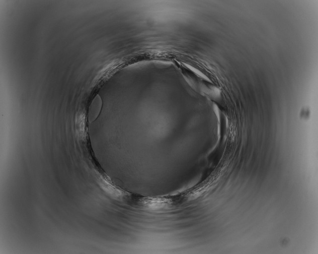 X0000098130670200805011322