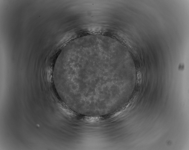 X0000098130671200805011322
