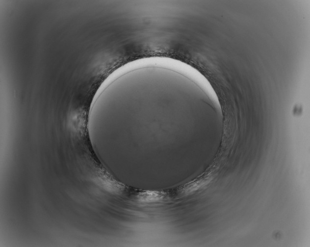 X0000098130672200805011322