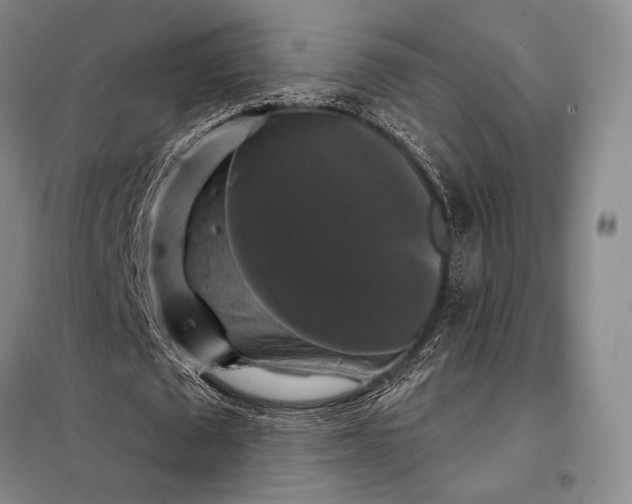 X0000098130673200805011322