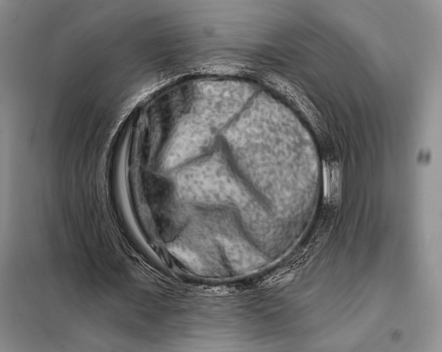 X0000098130675200805011322