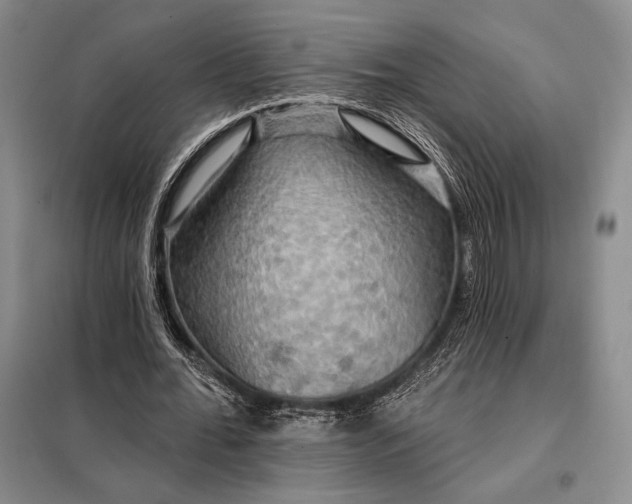 X0000098130676200805011322