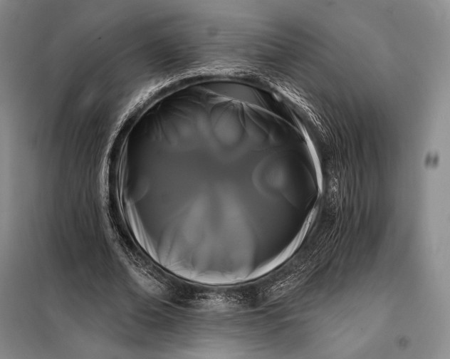 X0000098130678200805011322