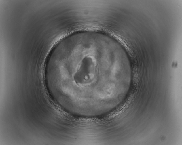 X0000098130679200805011322